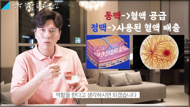 망막 전문의가 알려주는 망막 혈관 폐쇄 🚧 [진짜 안과] [강남역 성모 진안과]
