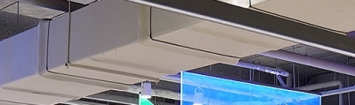 서면울쎄라 주름 개선 및 탄력 증진시켜요 사진 38