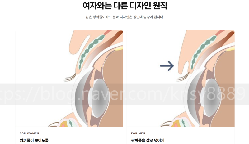 강남서연성형외과 커버 이미지