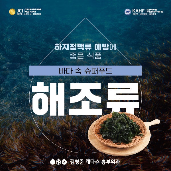 [하지정맥류 예방 식품]  해조류 효능, 미역오이냉국레시피