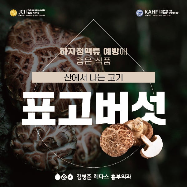 하지정맥류에 좋은 표고버섯 효능 (표고버섯 물 끓이는 법)