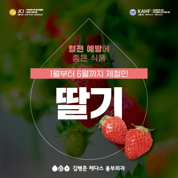 제철 과일 딸기 효능 (혈전 예방) & 딸기 세척법
