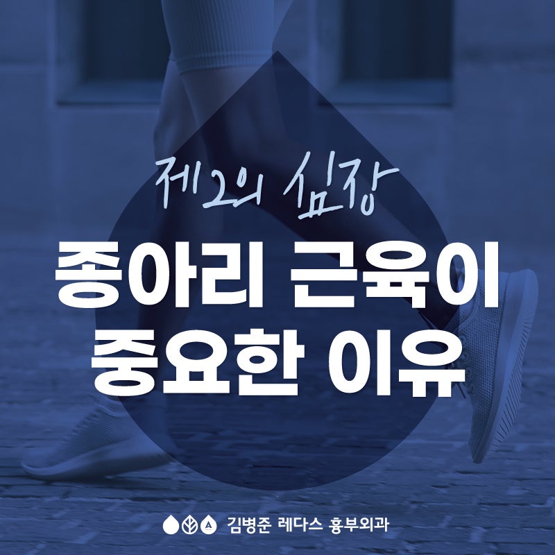 [부산 하지정맥류 병원] 종아리 근육의 중요성