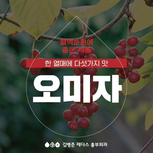 [하지정맥류] 혈액순환에 좋은 음식 : 오미자 효능