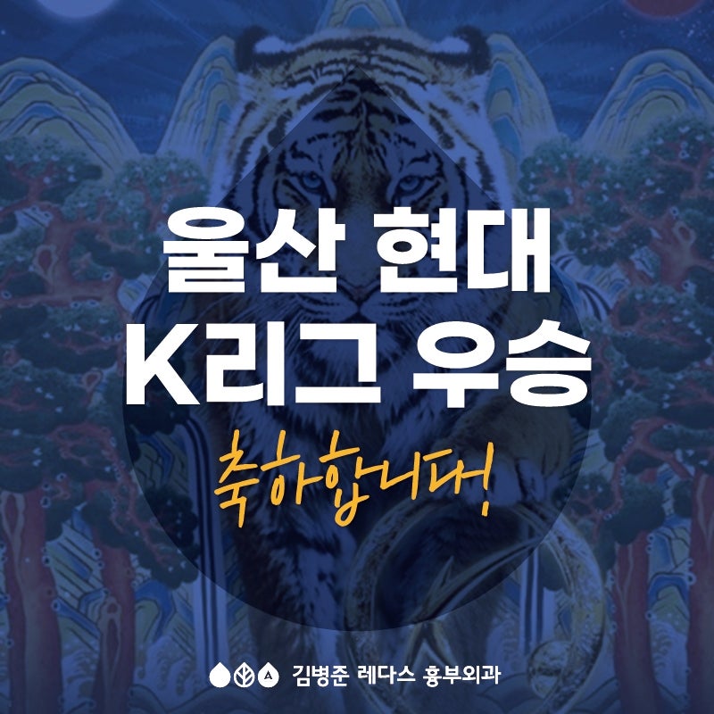 울산 현대 축구단 우승을 축하합니다! (김병준 레다스 흉부외과)
