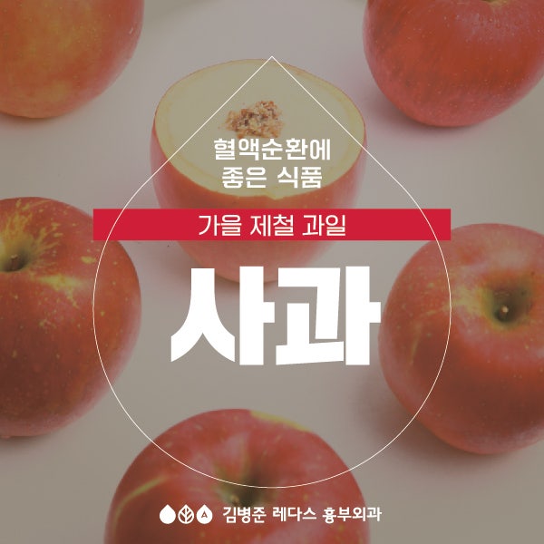 혈관튼튼 음식 – 제철 과일 사과 효능, 사과 고르는 법