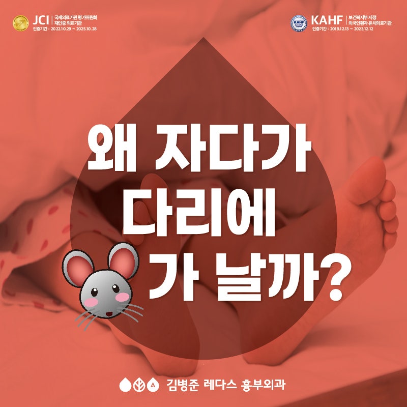 꿀잠 쫓는 다리 쥐 내림, 정맥혈관 질환 의심하자!
