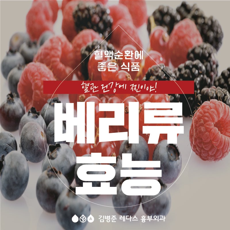 Berry Good! 베리 효능, 베리 시럽 만들기