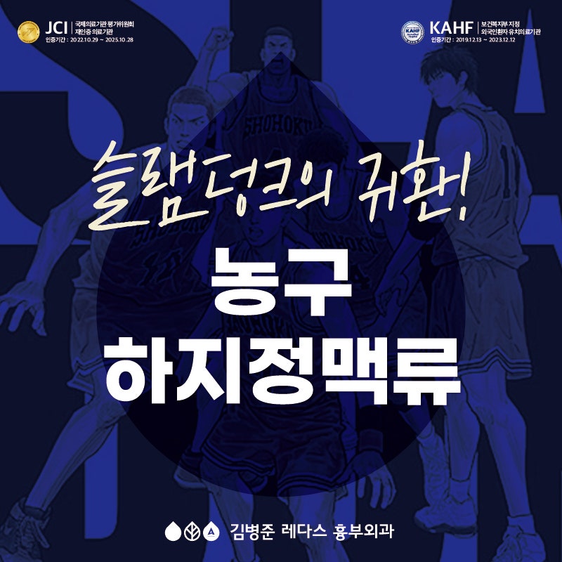 <더 퍼스트 슬램덩크> 뜨거운 코트를 가르며 26년 만의 귀환! 하지정맥류 질환자에게 농구란?