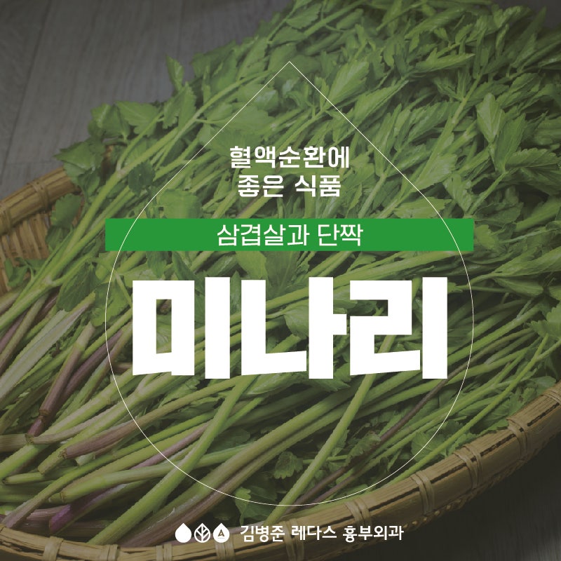 <삼삼데이> 삼겹살 짝꿍 미나리 효능 : 미나리 세척법, 부작용