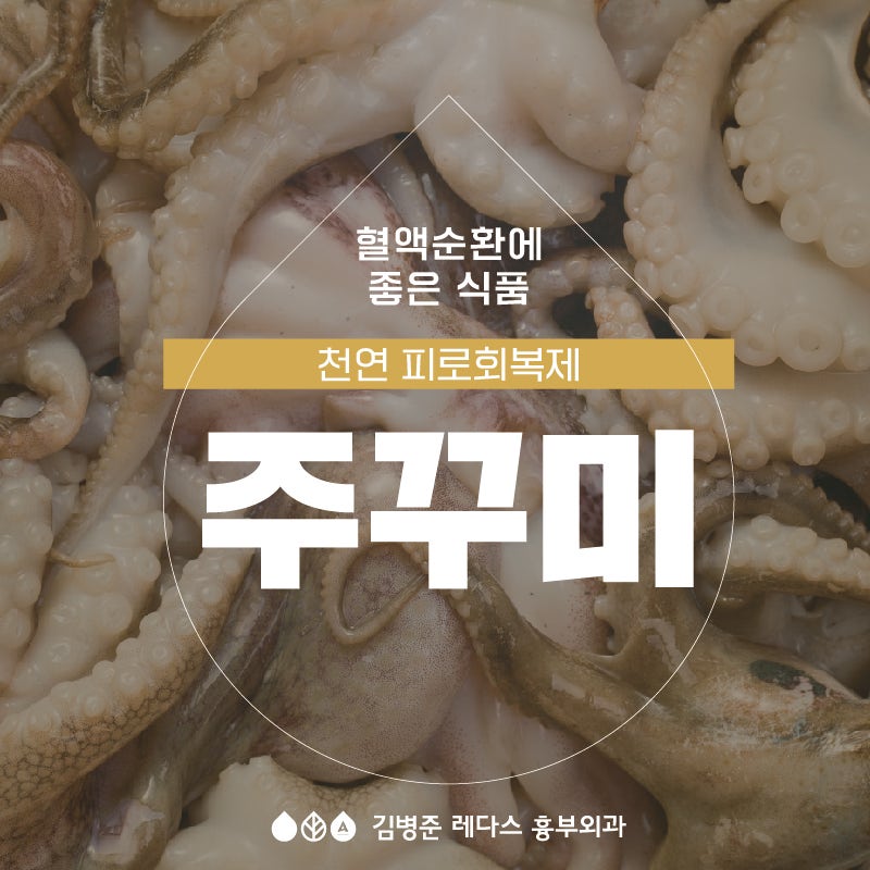 혈액순환에 좋아요! 주꾸미(쭈꾸미) 효능, 싱싱한 주꾸미 고르는 법