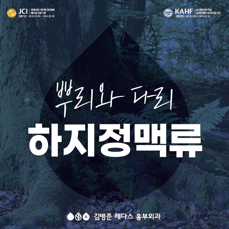 4월 5일 식목일 : 생태 결정하는 뿌리처럼, 건강의 척도 하지정맥류 이야기