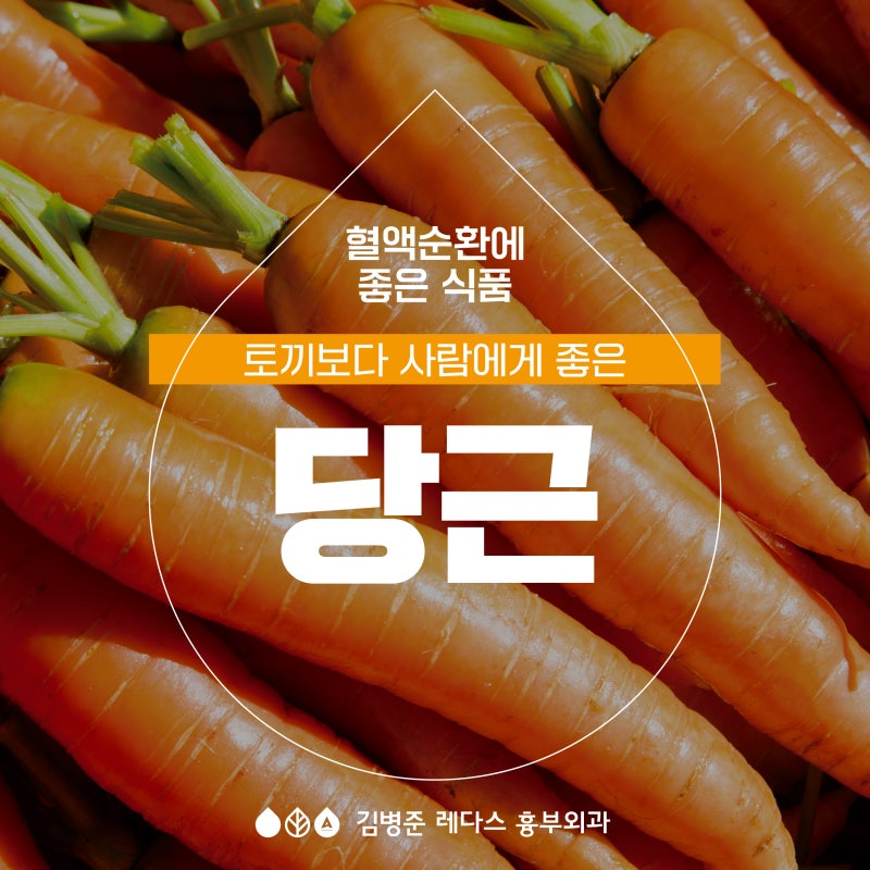 혈액순환에 좋은 음식 : 당근 효능, 당근 라페 레시피