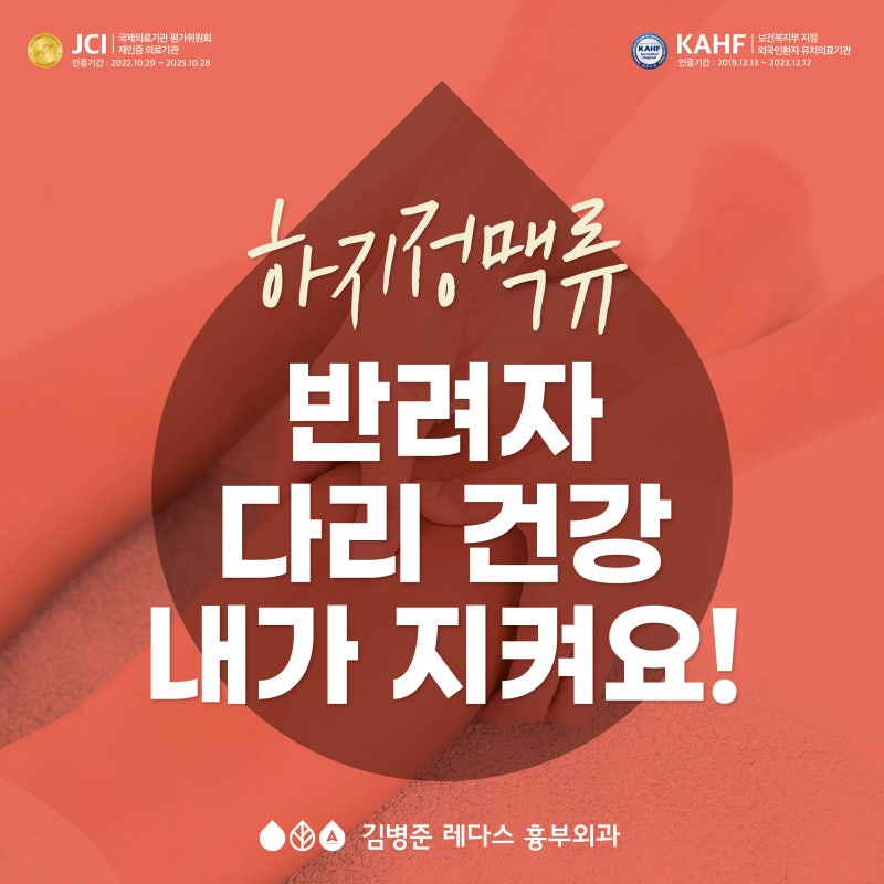 반려자 다리 건강 내가 지켜요!