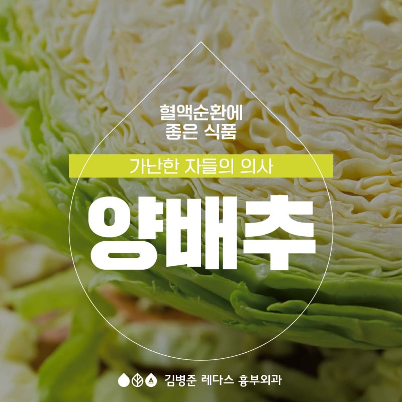 양배추 효능, 세척법, 좋은 양배추즙 추천