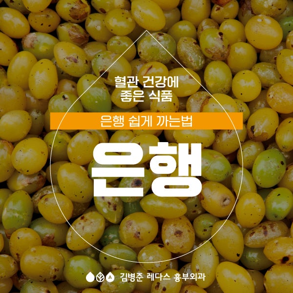 혈관 건강에 좋은 은행 효능, 은행 쉽게 까는법