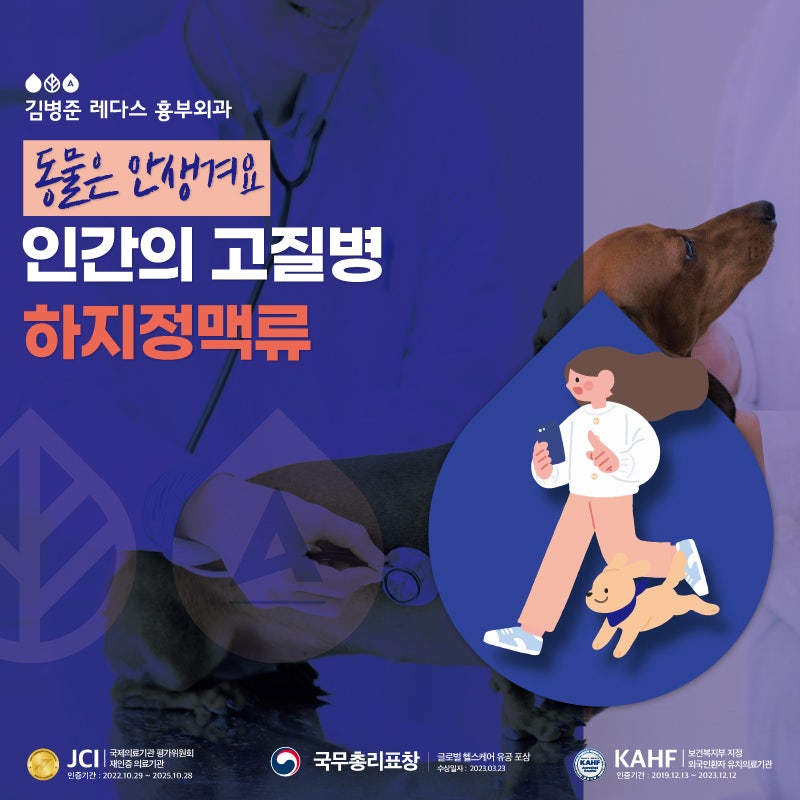 인간의 고질병, 이족 직립보행과 하지정맥류
