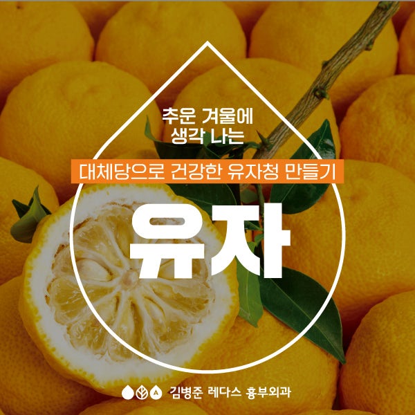 추운 겨울 생각 나는 유자 효능/알룰로스 대체당 유자청 만들기