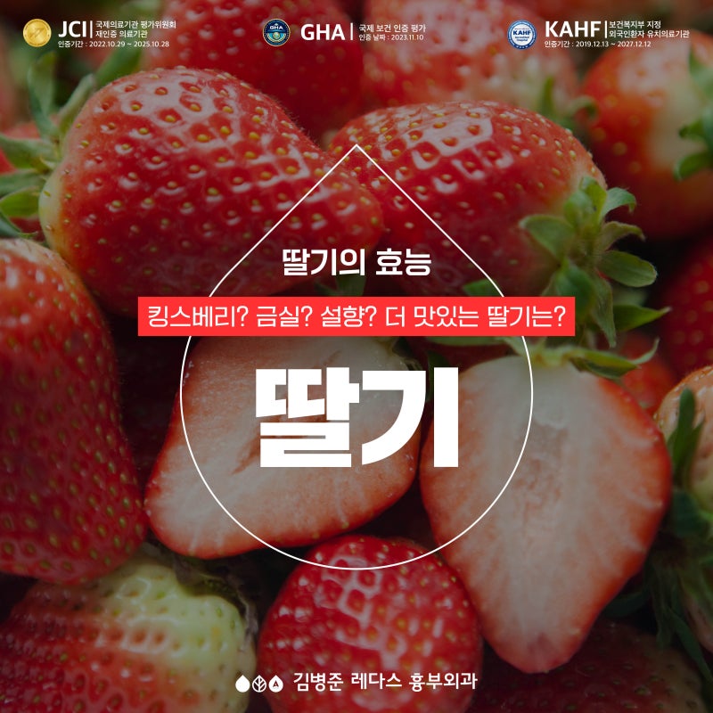 딸기 효능 ! 킹스베리 금실 설향, 더 맛있는 딸기는?