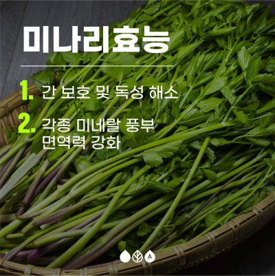 부산 봄나들이 축제 - 2024 원동 미나리 축제 사진 9