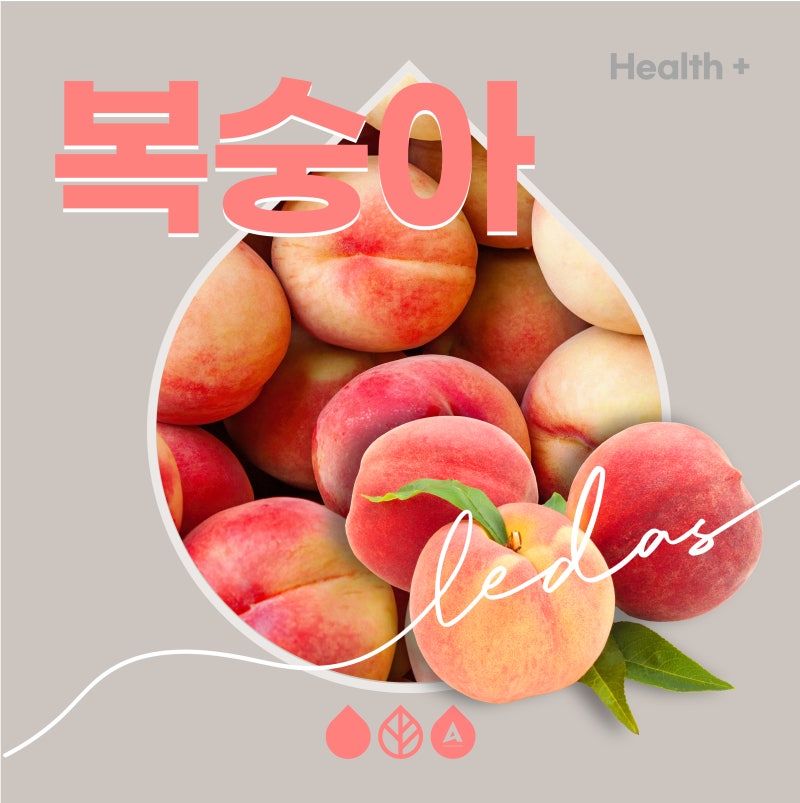 물복, 딱복, 신비! 새콤달콤 복숭아 효능
