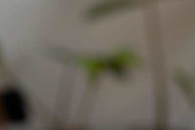 부산다리통증 하지정맥류 일까? 척추질환 일까? 사진 15