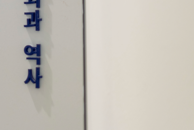 굴의 효능 한국굴, 유럽굴(서양굴), 삼배체굴? 뭐가 다를까? 사진 20