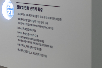 하지정맥류 당장 치료가 어렵다면, 약물? 압박스타킹? 사진 28