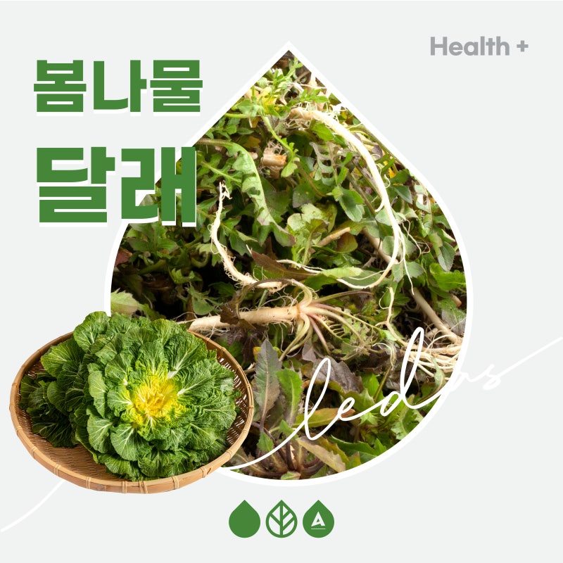 4월 제철 봄나물, 달래 vs 냉이 차이는? 달래장 비빔밥 만들기!