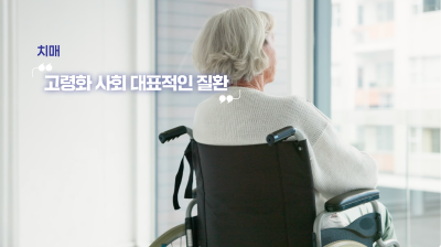 하지정맥류 있으면 치매 잘 생긴다? 논문 확인해보세요 사진 4