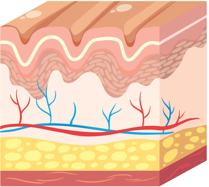 Can Lip Corner Thread Lifts Be Effective? Before & After Differences and Suitable Face Types 사진 5