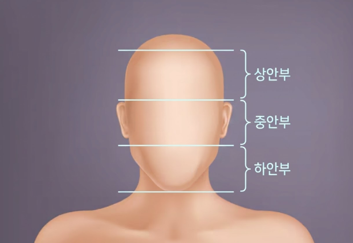 How to Choose a Good Facelift Clinic: Comparing Price, Revision Cases, and Longevity 사진 8
