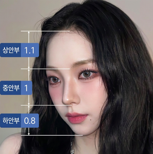 Is Short Nose Revision Surgery Due to Contracted Nose Appearing as a Snub Nose? Cases Requiring Revision Surgery 사진 8
