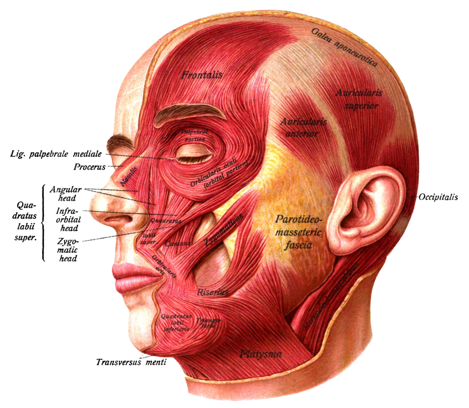 Is Eyelid Ptosis in Your 50s Just Aging? When Improvement is Needed 사진 5