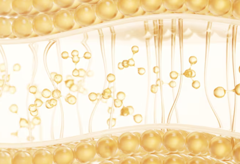 PRP Fat Grafting vs. Stem Cell Fat Grafting: Which Lasts Longer? Differences in Engraftment Rate and Duration 사진 5