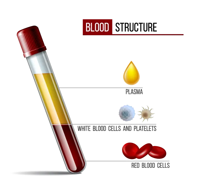 PRP Fat Grafting vs. Stem Cell Fat Grafting: Which Lasts Longer? Differences in Engraftment Rate and Duration 사진 3