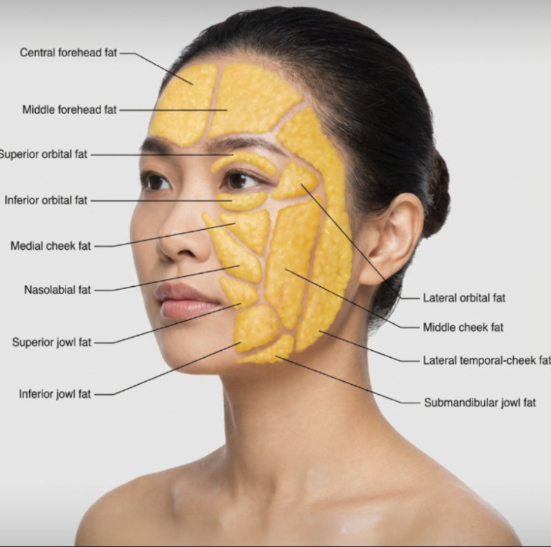 Jenis Perawatan Anti-Aging, Dikategorikan Berdasarkan Efeknya 사진 3