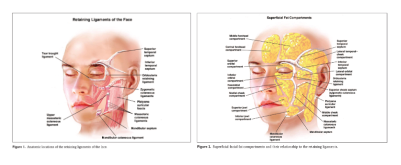 Deep Cheek Sagging Thread Lift: Most Reasons for Shortened Duration Start Here 사진 3