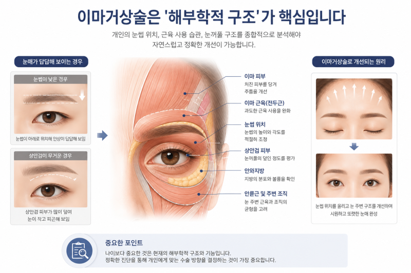 Forehead Lift for Twenties: Too Soon? Criteria More Important Than Age 사진 4