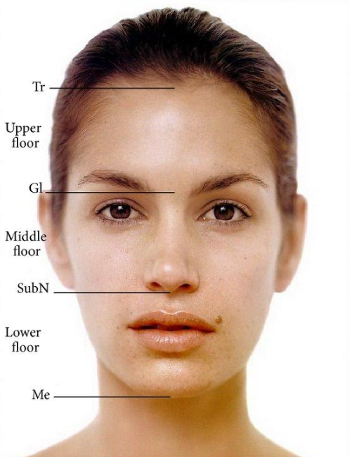 Midface Reduction Procedures: Why Your Face Looks Different Even If Its Length Remains the Same 사진 3