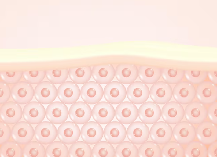 Nonhyeon-dong Plastic Surgery: Common Traits of People with Long-Lasting Thread Lift Results 사진 5