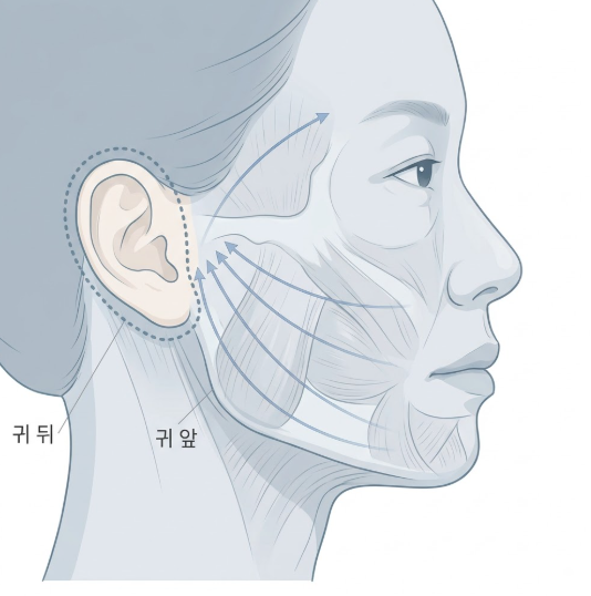 Gangnam Facelift Experts: What You Can't Learn from Online Searches Alone 사진 8