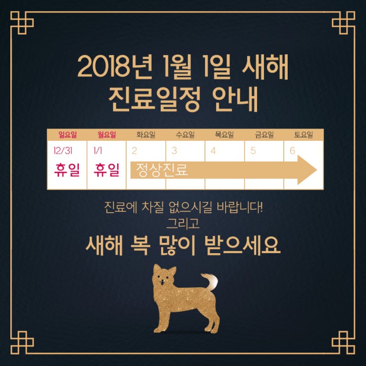 2018년 1월1일 진료안내