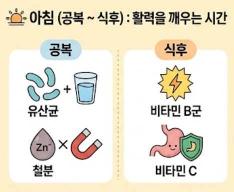 함께 먹으면 독이 되는 영양제 조합 & 시간대별 올바른 섭취 순서
