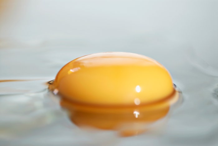 Boost Your Immunity: 7 Nutrients in Eggs