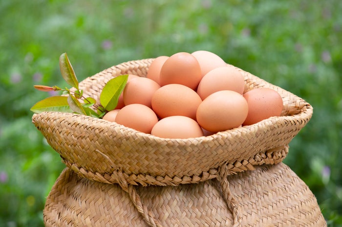 Boost Your Immunity: 7 Nutrients in Eggs 사진 4
