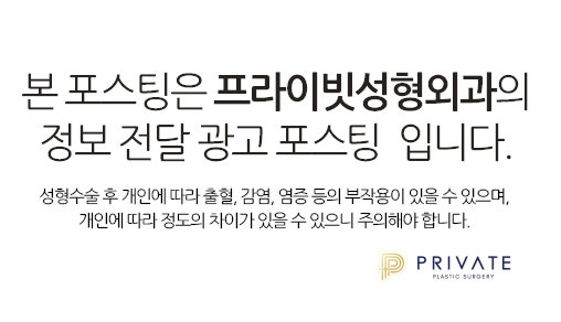 Private Plastic Surgery Clinic's Plastic Surgery Model Recruitment Program: Check it Out Now 사진 10