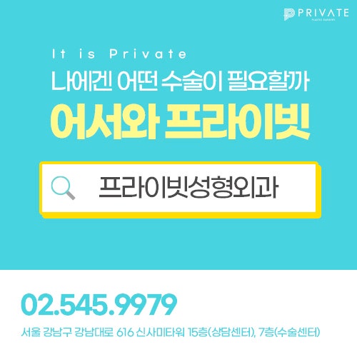 Private Plastic Surgery Clinic's Plastic Surgery Model Recruitment Program: Check it Out Now 사진 9