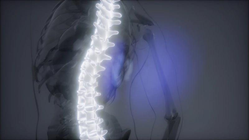 Why Do We Need Magnesium in Our Bodies?
