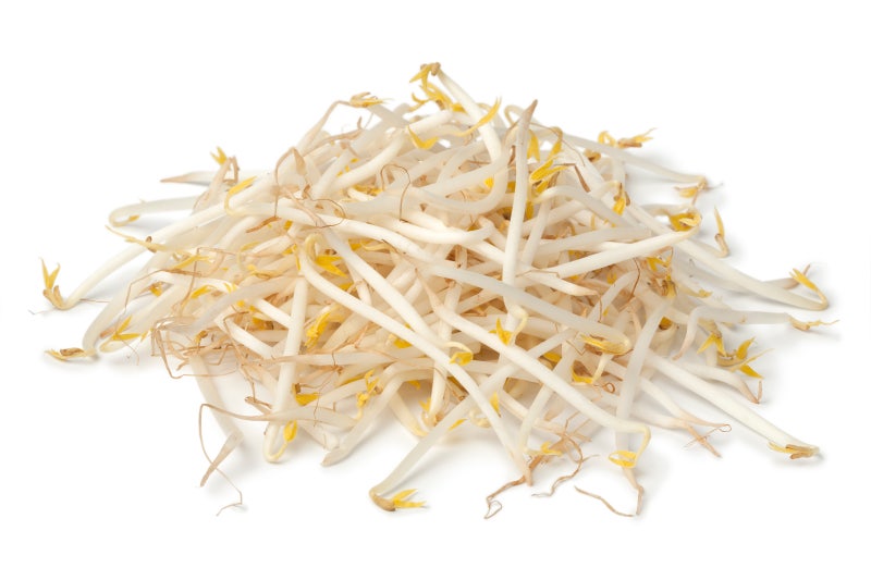 Discover the Benefits of Bean Sprouts 사진 3